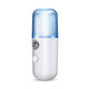 NANO MIST SPRAYER 50G