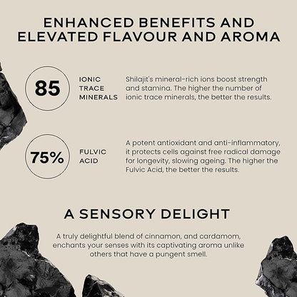 Shilajit Gold Plus Resin Immunity Supplements Booster